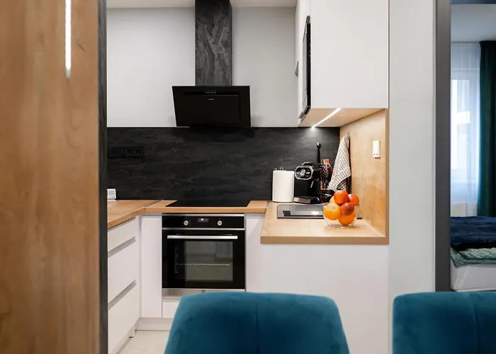 Dugonics Apartament *