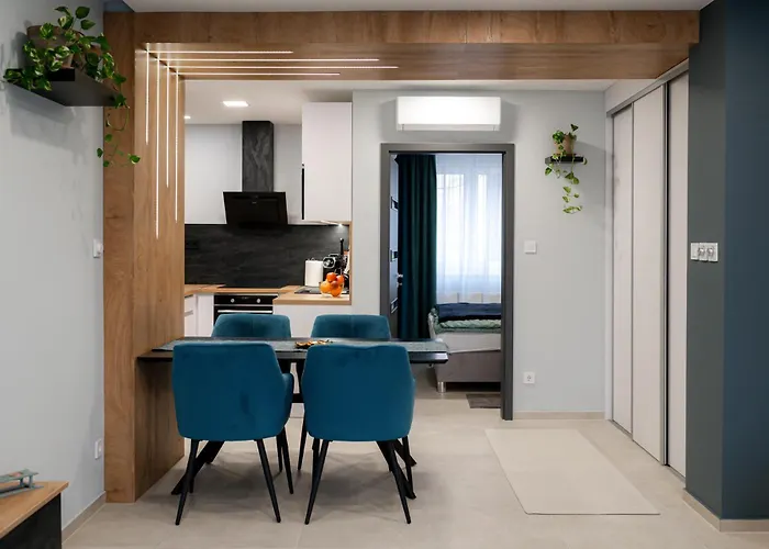 Apartament Dugonics *
